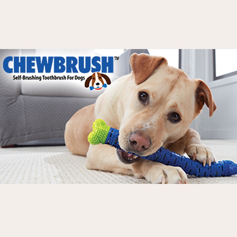 กระดูกยางขัดฟันสุนัข-ของเล่นสำหรับสุนัข-และช่วยให้ฟันสะอาดได้อีกด้วย-chewbrush-กระดูกยางขัดฟันสุนัข