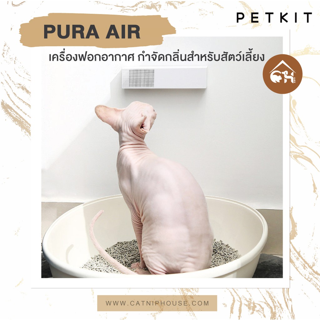 ของแท้-ถูกสุด-พร้อมส่ง-petkit-pura-air-เครื่องกำจัดกลิ่นสำหรับสัตว์เลี้ยง-จากราคาปกติ-599