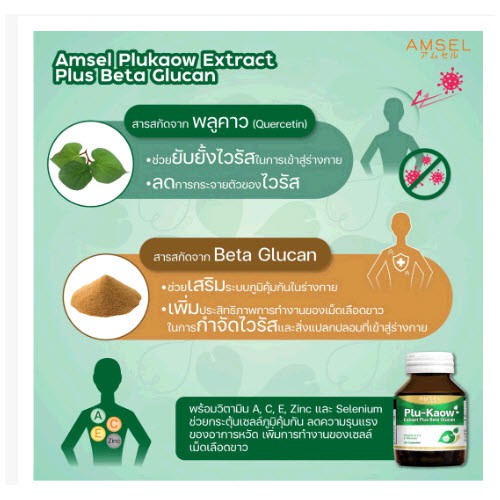 amsel-plu-kaow-extract-plus-beta-glucan-30-แคปซูล-แอมเซล-พลูคาว-บำรุงร่างกาย-เสริมภูมิคุ้มกัน