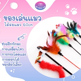 ภาพขนาดย่อของภาพหน้าปกสินค้าของเล่นแมว รวมไม้แมว แบบน่ารัก จากร้าน ttch.mjp บน Shopee