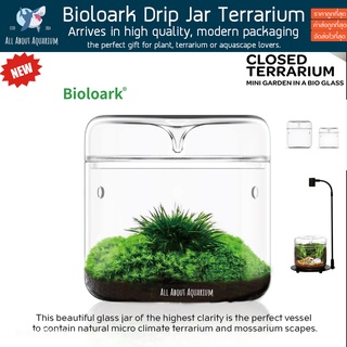 Bioloark MY Series Drip Jar แบรนด์ดังผู้ชำนาญด้านโหล Terrarium จัดสวนในขวดแก้ว ขวดโดมแก้ว สวนขวด สวนจิ๋ว เทอทาเรียม ตู้