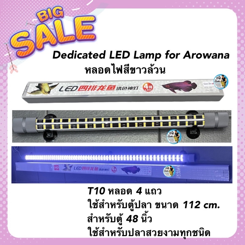 dedicated-led-lamp-for-arowana-หลอดไฟสีขาวล้วน-t10-หลอด-4-แถวใช้สำหรับตู้ปลา-ขนาด-112-cm-สำหรับตู้-48-นิ้ว