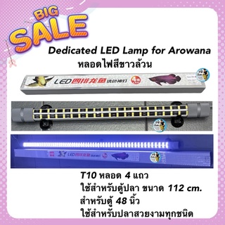 Dedicated LED Lamp for Arowana หลอดไฟสีขาวล้วน  T10 หลอด 4 แถวใช้สำหรับตู้ปลา ขนาด 112 cm. สำหรับตู้ 48 นิ้ว