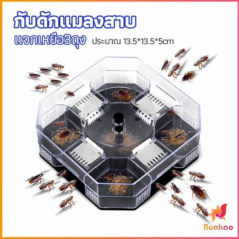 ที่ดักแมลงสาบ-ที่ดักแมลงสาบ-กล่องดักแมลงสาบ-cockroach-trap