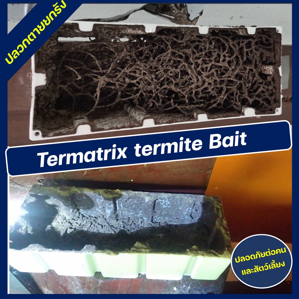 เหยื่อกำจัดปลวก-termatrix-เหยื่อปลวกตายยกรัง-อาหารปลวก-ฆ่าปลวก-กำจัดปลวก-ชุดเติม-refill