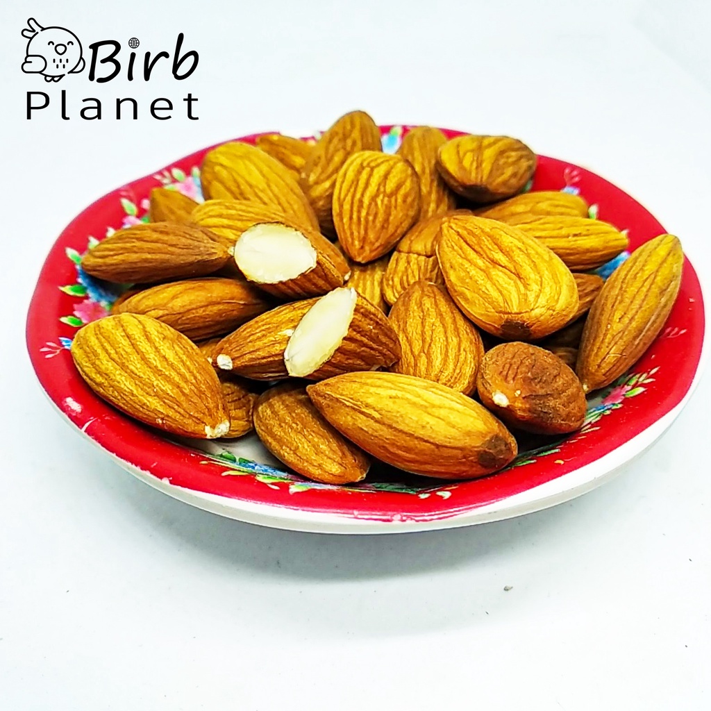 อัลมอนด์อบ-ไม่โรยเกลือ-ขนมนก-อาหารนก-เพิ่มไขมัน-birb-planet-almond-seed-for-parrots