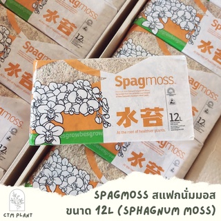 Spagmoss สแฟกนั่มมอส 12L (Sphagnum moss) นำเข้าจากนิวซีแลนด์ พร้อมส่ง‼️ 150g
