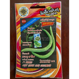 เมล็ดแตงกวา แตงงู 10 แถม 1 f1 hybrid light green long cucumber แตงกวาลูกผสม เมล็ดพันธุ์ผัก