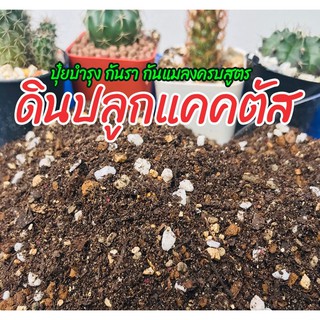 ดินปลูกกระบองเพชร 📣 500g🌱 ดินปลูกแคคตัส ไม้อวบน้ำ