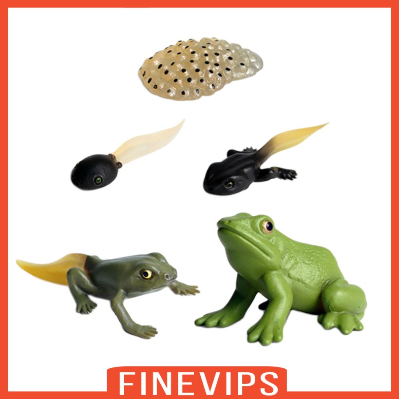 finevips-ชุดโมเดลกบจําลองของเล่นสําหรับเด็ก