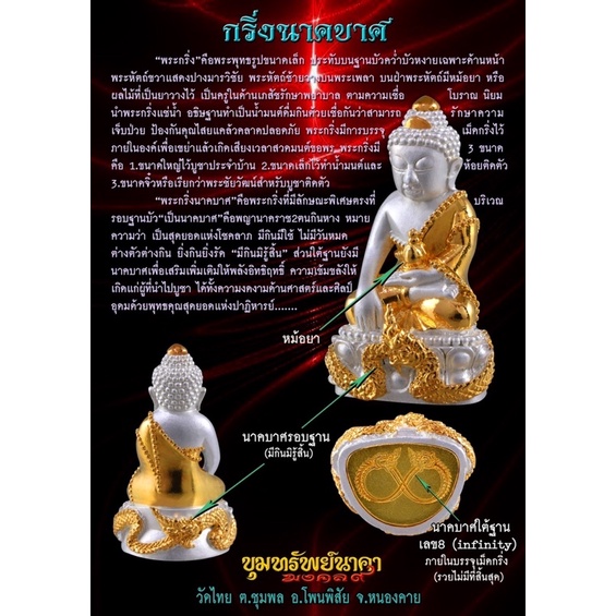 พระชัยวัฒน์นาคบาศ-เนื้อทองชมพู-วัดไทย-อ-โพนพิสัย-จ-หนองคาย