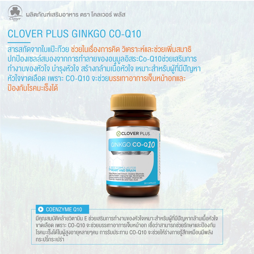 ภาพสินค้าClover Plus Ginkgo CO Q10 อาหารเสริม สารสกัดจาก ใบแปะก๊วย วิตามินบี6 วิตามินบี1 วิตามินบี2 คิวเท็น 1 ขวด 30 แคปซูล จากร้าน daryvit บน Shopee ภาพที่ 5