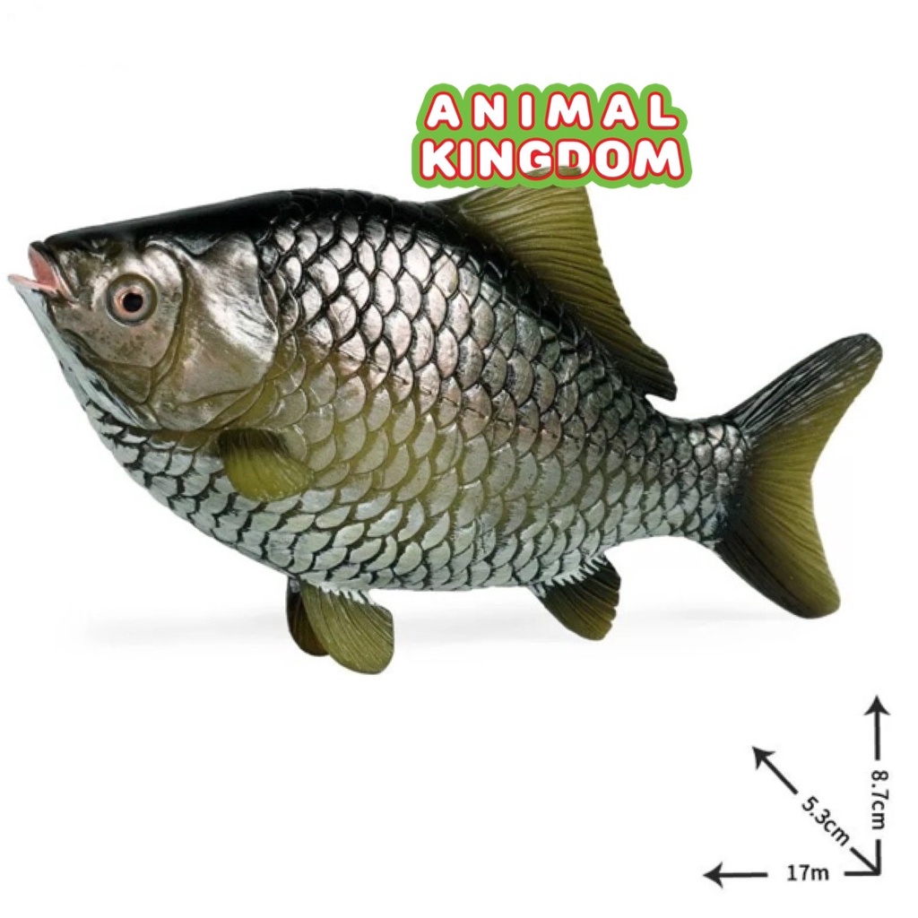 animal-kingdom-โมเดลสัตว์-ปลาตะเพียน-ขนาด-17-00-cm-จากสงขลา