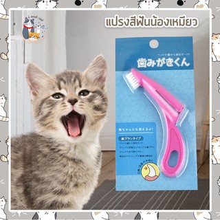 ภาพหน้าปกสินค้าI&CAT แปรงสีฟันสัตว์เลี้ยง อุปกรณ์ทำความสะอาดฟันแมว แปรงทำความสะอาดช่องปากสัตว์เลี้ยง ที่เกี่ยวข้อง