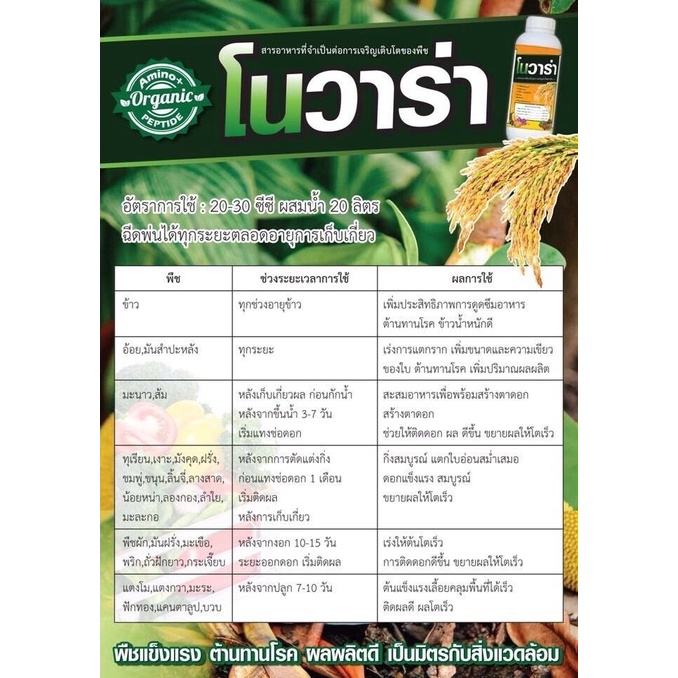 โนวาร่า-1-ลิตร-ป๊อปอัพ-25-กรัม-ของแท้ต้องฟาร์มอะโกร