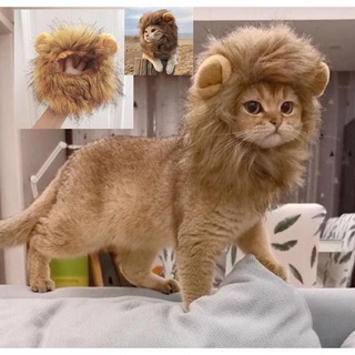 ภาพหน้าปกสินค้าหมวกวิกผม รูปสิงโตน่ารัก ขนาดเล็ก สําหรับสัตว์เลี้ยง สุนัข แมว เหมาะกับฮาโลวีน ที่เกี่ยวข้อง