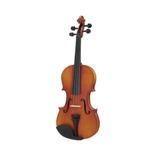 custom-violin-mtv-1-ไวโอลิน-พร้อม-case-อย่างดี-รวมคันชัก-และยางสน