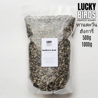 เมล็ดทานตะวันฮังการี่ Sunflower seed สำหรับนก นกแก้ว สัตว์เลี้ยง คุณภาพสูง ขนาด 500กรัม และ1000กรัม