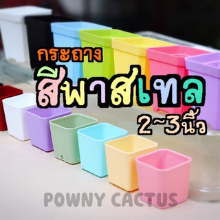 ภาพขนาดย่อของภาพหน้าปกสินค้าขั้นต่ำ 5 ใบ คละได้ทั้งร้านนะคะ กระถาง 3 นิ้วพลาสติก สีพาสเทล น่ารัก กระถางน่ารัก กระถางพร้อมส่ง กระถางพลาสติก จากร้าน powny_cactus บน Shopee