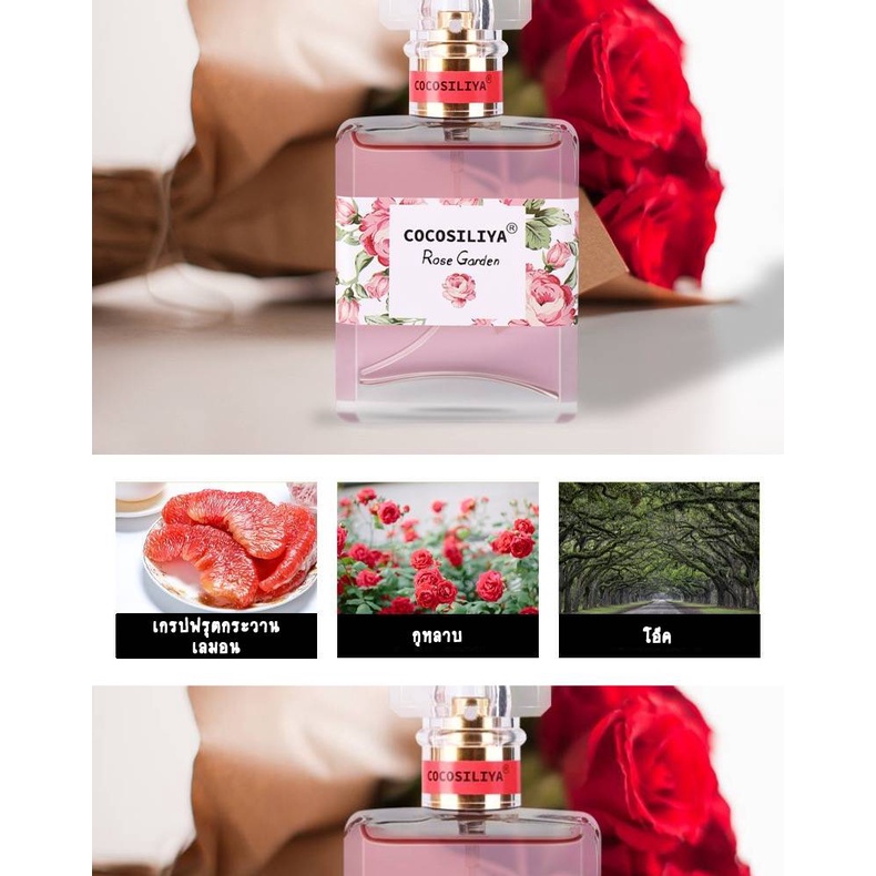 สินค้าใหม่-cocosiliya-กลิ่นดอกไม้-หอมละมุน-พร้อมส่ง-ติดทนนาน-50-ml-ใช้ได้นาน