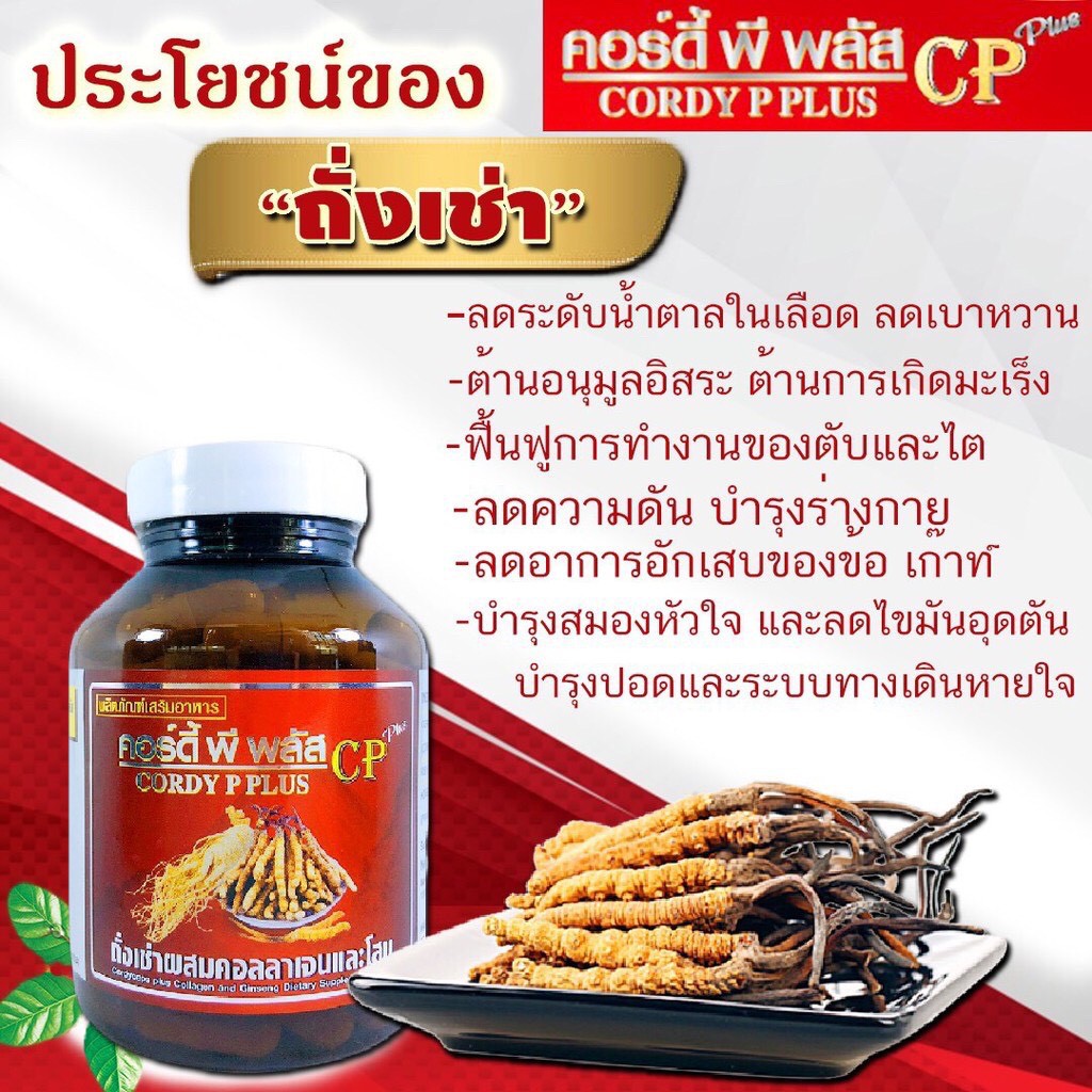 cordy-p-plus-คอร์ดี้-พี-พลัส-ผสมคอลลาเจนและโสมสกัดจากทิเบตความดัน-เบาหวาน-บำรุงหัวใจ-ถั่งเช่า-ถังเช่า-โสม