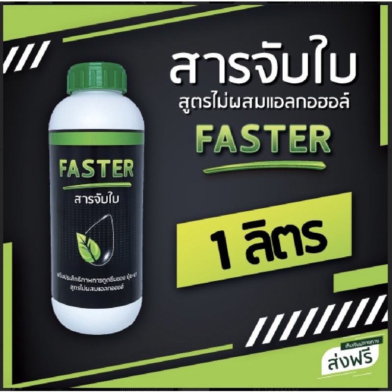 faster-สารจับใบ-คุณภาพหลักพัน-ราคาหลักร้อย-เพิ่มประสิทธิภาพในการดูดซึม