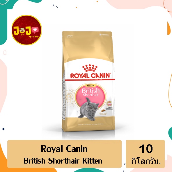 Royal canin british best sale shorthair kitten 10 kg