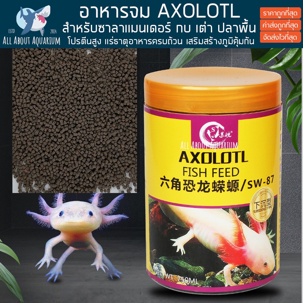 อาหารจม-axolotl-750ml-ขวดใหญ่-อาหารซาลาแมนเดอร์-ซาลาแมนเดอร์-อาหารเต่า-อาหารกบ-อาหารปลา-อาหารสัตว์-exotic-pet-สัตว์