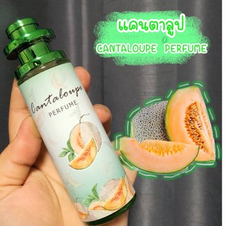 ภาพหน้าปกสินค้า🍈Cantalupe Perfume น้ำหอมการบินไทย กลิ่น  แคนตาลูป ขนาด 35มล. หอมละมุน🍈 ที่เกี่ยวข้อง