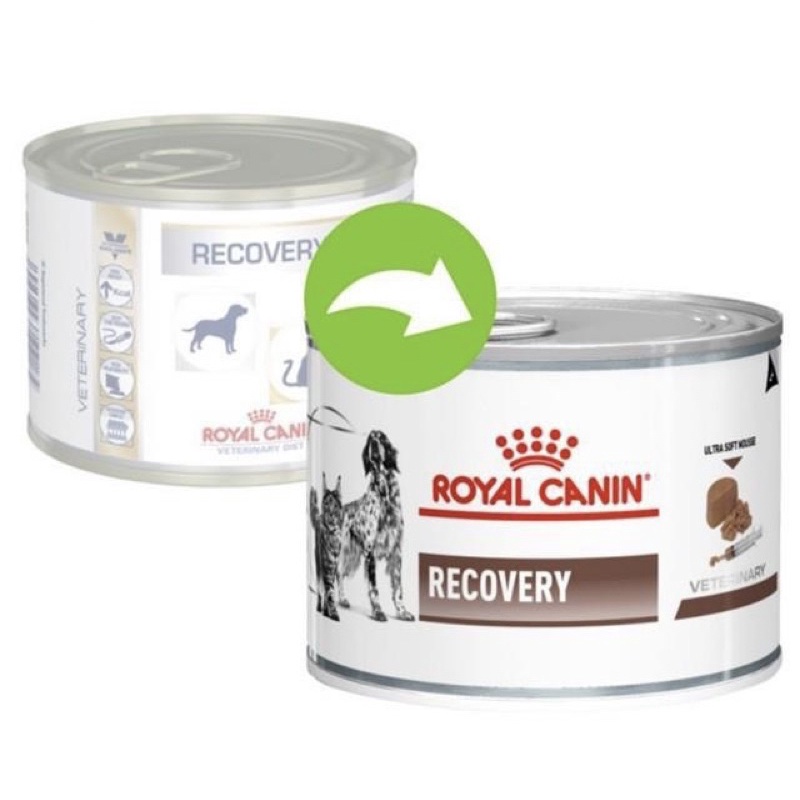 Royal Canin Recovery 12 กระป๋อง อาหารแมว อาหารหมา สูตรสุนัข