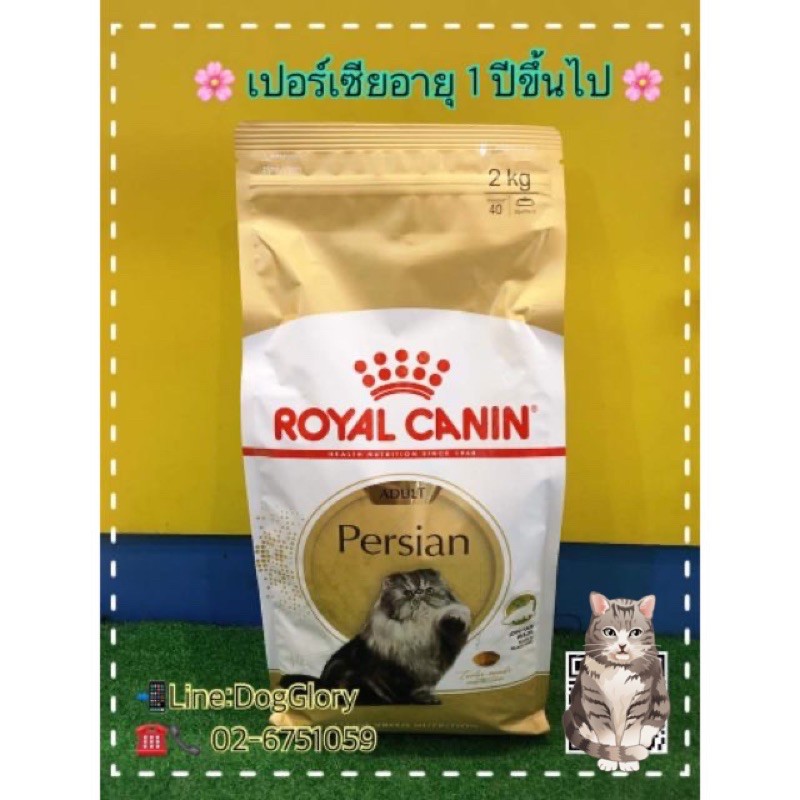 royal-canin-สูตรแมวเปอร์เซียอายุ-1-ปีขึ้นไป