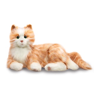 (ของแท้100%)📍JOY FOR ALL | Orange Tabby Cat/Silver Cat with White Mitts