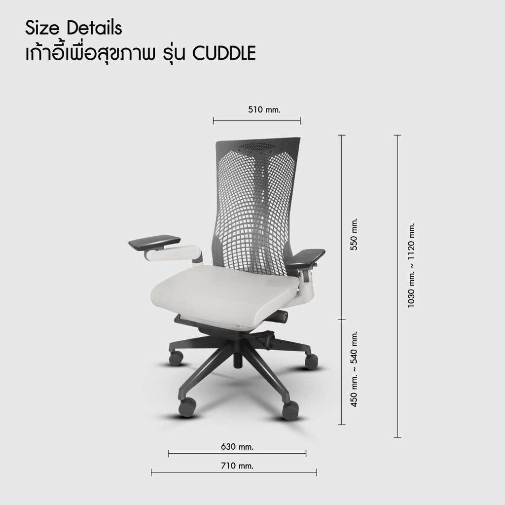 bewell-ergonomic-chair-เก้าอี้ทำงานเพื่อสุขภาพ-เก้าอี้สำนักงาน-ปรับระดับได้ทุกส่วน-รุ่น-cuddle
