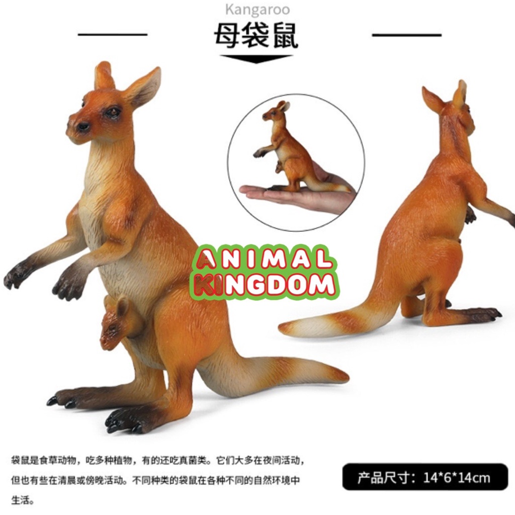 animal-kingdom-โมเดลสัตว์-จิงโจ้-ขนาด-14-00-cm-จากหาดใหญ่