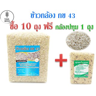 ภาพหน้าปกสินค้าข้าวกล้อง กข 43 น้ำตาลน้อย ซื้อ 10 ฟรีกล้องปทุม 1 กิโล ที่เกี่ยวข้อง