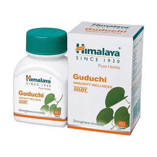 Himalaya Guduchi สมุนไพรสร้างภูมิคุ้มกันให้ร่างกาย Strengthens immunity-60 Tab