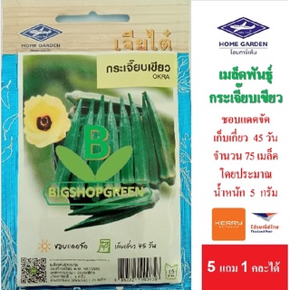 5 ฟรี 1 คละได้ เมล็ดพันธุ์ กระเจี๊ยบเขียว  เจียไต๋ เมล็ดพันธุ์ผัก เมล็ดผัก เมล็ดพันธุ์พืช  เมล็ดพืช
