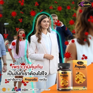 Propolis กระตุ้นระบบภูมิต้านทานในร่างกาย เสริมภูมิคุ้มกันร่างกายให้แกร่ง