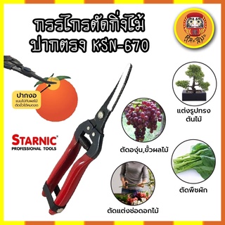 STARNIC กรรไกรตัดกิ่งไม้ ปากตรง KSN-670 ของญี่ปุ่น กรรไกรตัดกิ่งไม้ กล้วยไม้ ดอกไม้ บอนไซ ผลไม้ ปากแหลม ปลายยก ใบมีด SK-