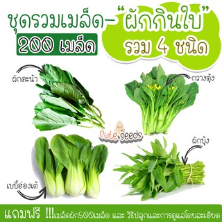เมล็ดพันธุ์ผักสวนครัวผักกินใบ 200เมล็ด กวางตุ้ง คะน้า เบบี้ฮ่องเต้ ผักบุ้ง  (แถมฟรี เมล็ดผักทุกออเดอร์)
