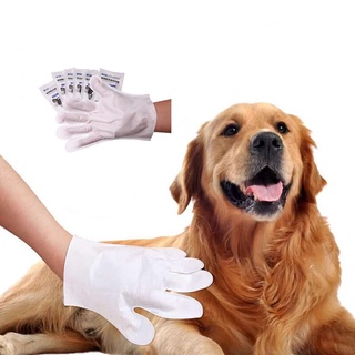 Deemar ถุงมือแบบไม่ต้องซัก ทำความสะอาดสัตว์ แบบใช้แล้วทิ้ง  Clean Glove