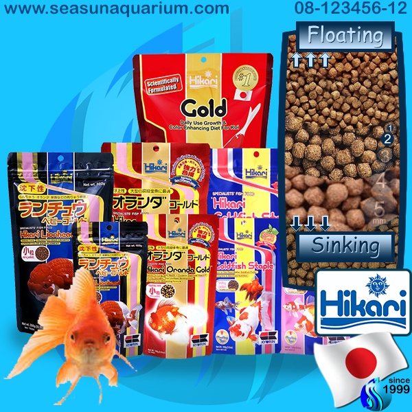 Hikari Goldfish Staple / Lionhead / Oranda Gold / Gold อาหารเม็ดสำหรับ