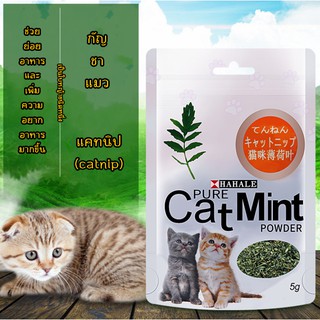 ภาพหน้าปกสินค้าAL-021 ผงแคทนิป กัญชาแมว Catnip สมุนไพรแมว แคทนิป แคตนิป ราคาถูก 5กรัม ที่เกี่ยวข้อง