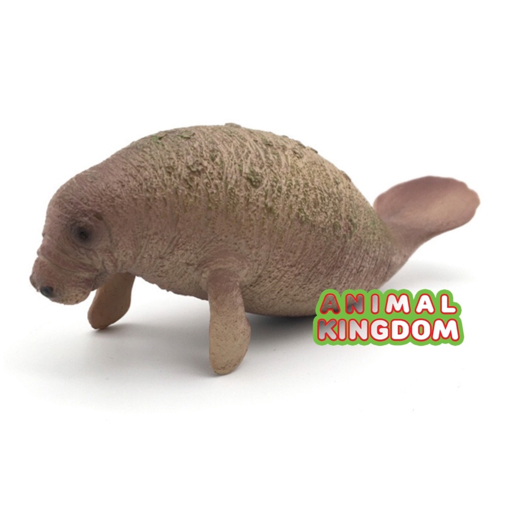 animal-kingdom-โมเดลสัตว์-พะยูน-มานาที-เทาแดง-ขนาด-16-00-cm-จากสงขลา