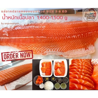 แซลมอน เกรดพรีเมี่ยม Salmon Norway แล่ซาชิมิ ครึ่งตัว (ปลาแซลมอนไซส์ 5-6kg) ส่งทั่วไทย