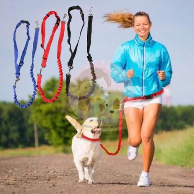 เชือกฝึกสุนัข-คาดเอว-แบบยืดหยุ่นได้-พาวิ่ง-พาเดิน