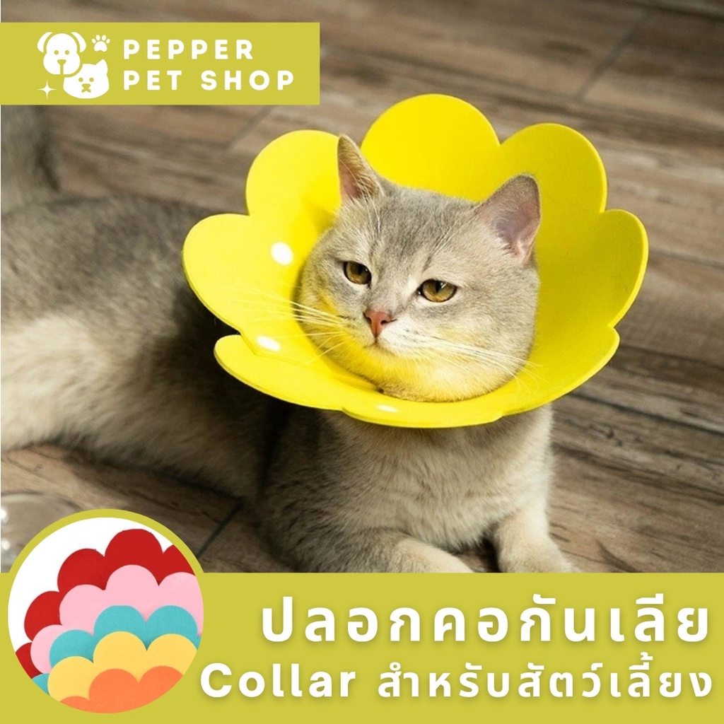 ราคาและรีวิวพร้อมส่ง Collar คอลล่าแมว ปลอกคอกันเลีย คอลล่าหมา สุนัข ปลอกคอดอกไม้ คอลล่าดอกไม้