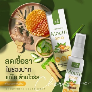 สินค้า เม้าท์สเปรย์พ่นคอต้องมีติดกระเป๋า