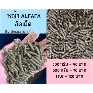 อัฟฟ่าฟา อัดเม็ด Alfafa pellet