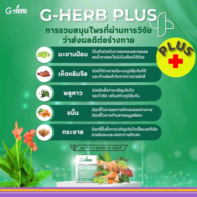 ภาพสินค้าจีเฮิร์บ พลัส G Herb Plus จากร้าน gherblife บน Shopee ภาพที่ 1